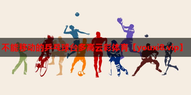 不能移动的乒乓球台多高云彩体育