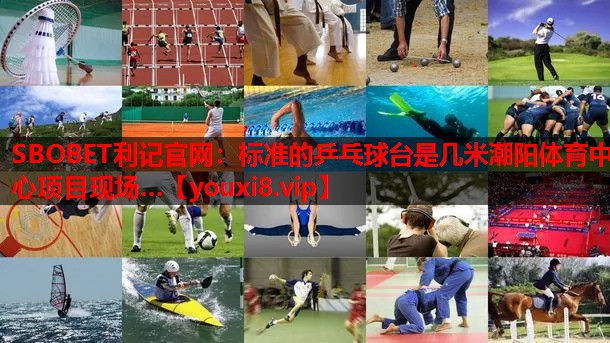SBOBET利记官网：标准的乒乓球台是几米潮阳体育中心项目现场…