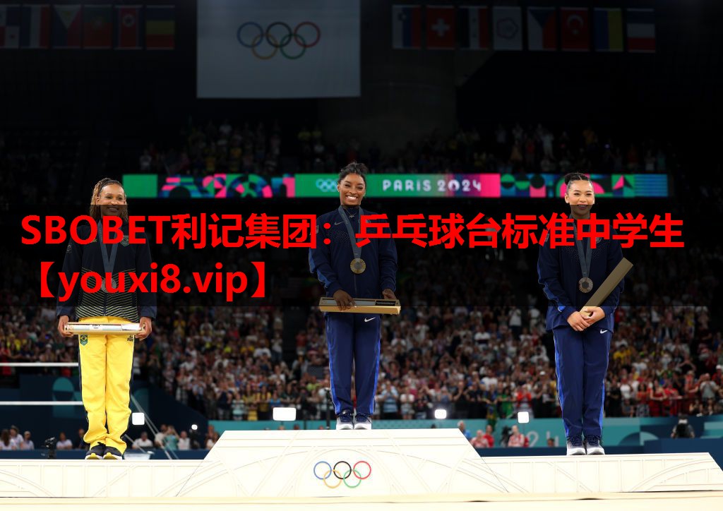 乒乓球台标准中学生