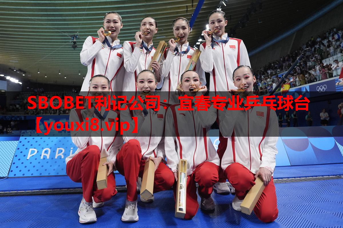 宜春专业乒乓球台 宜春专业乒乓球台