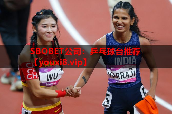 乒乓球台推荐 乒乓球台推荐